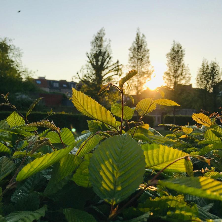 B&B 'T Kasteel & 'T Koetshuys Veurne Dış mekan fotoğraf